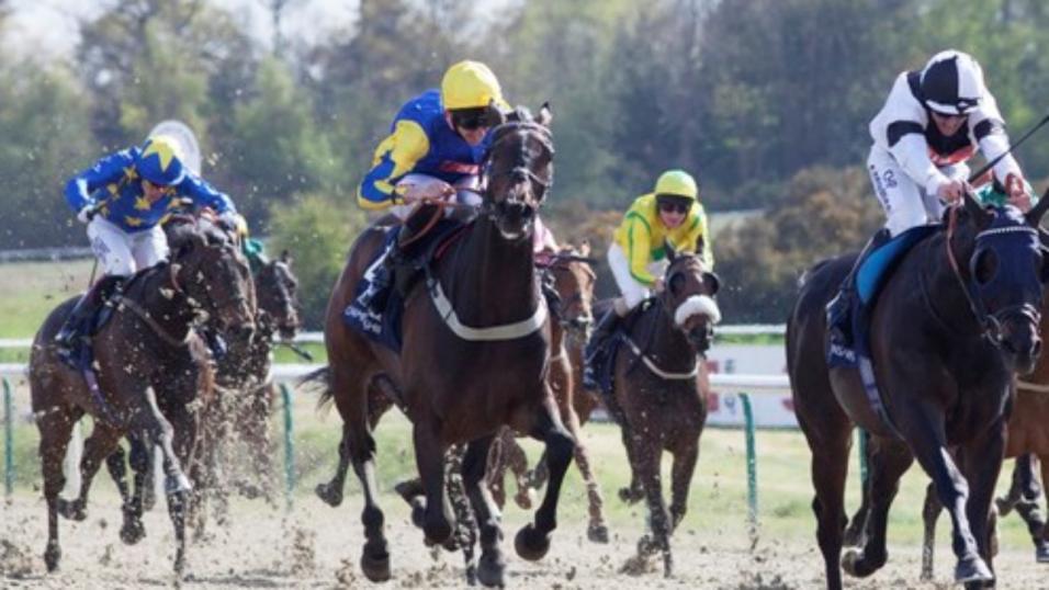 There's action at Lingfield on Saturday evening